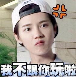 鹿晗表情包大全,鹿晗表情包大全，解锁你的表情包新姿势